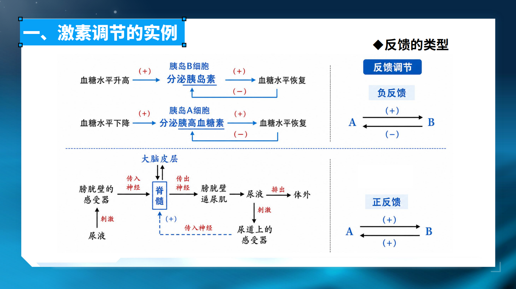 预览图 13
