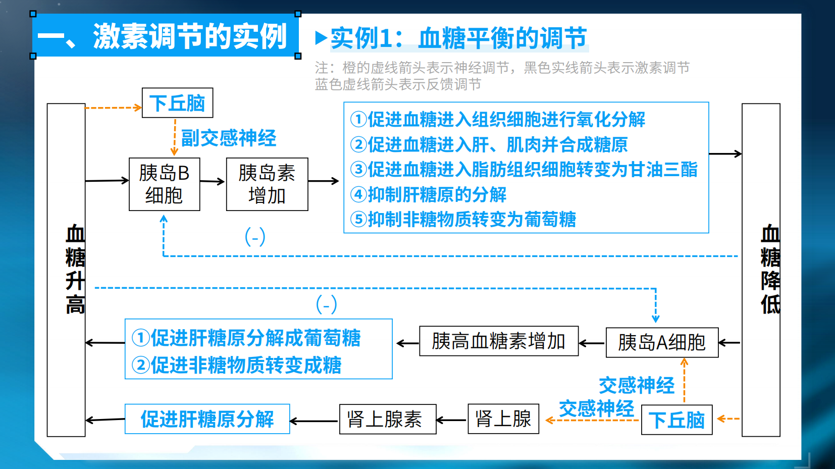 预览图 14