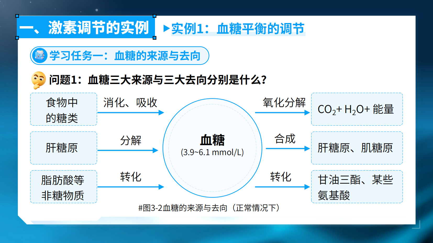 预览图 5