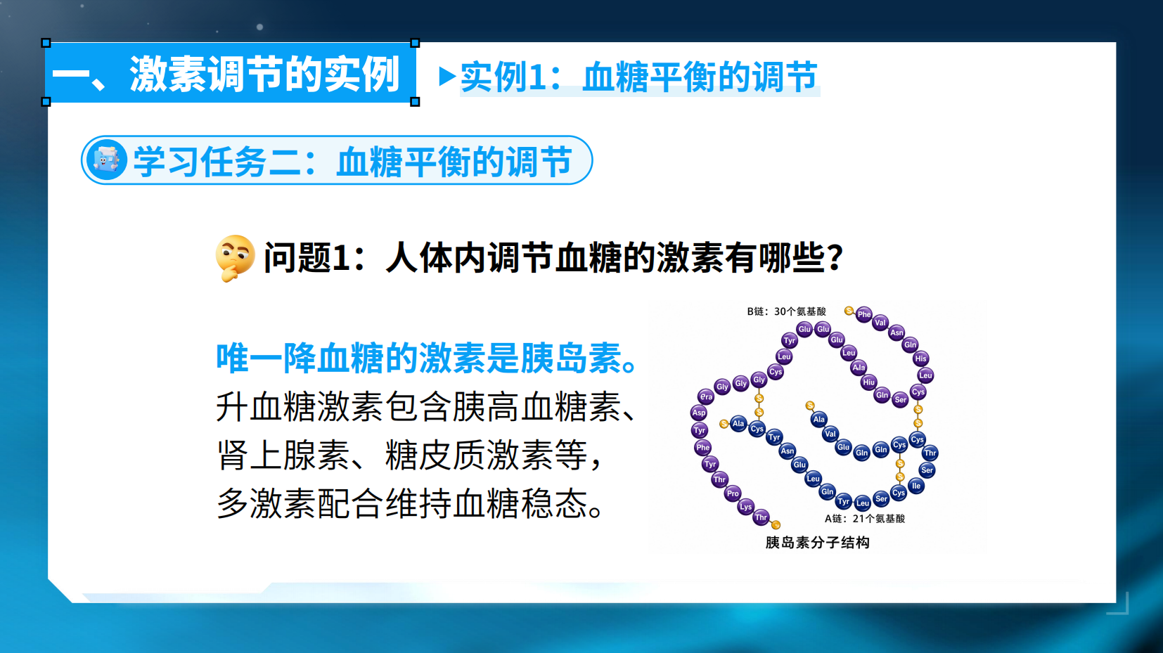 预览图 9