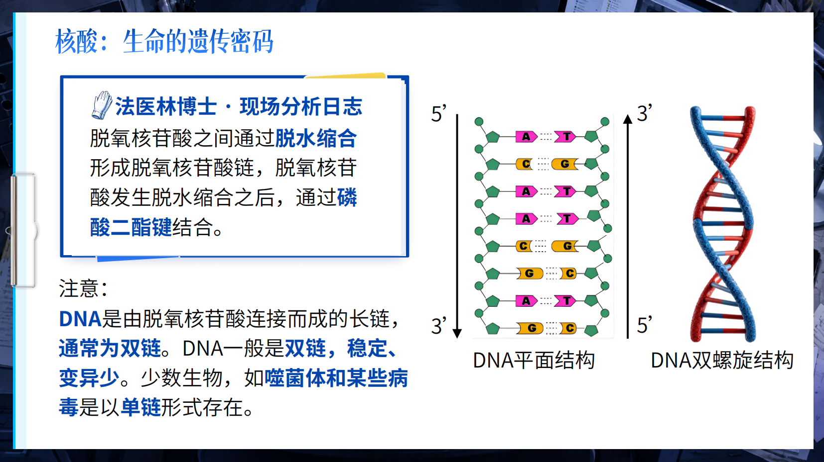 预览图 11