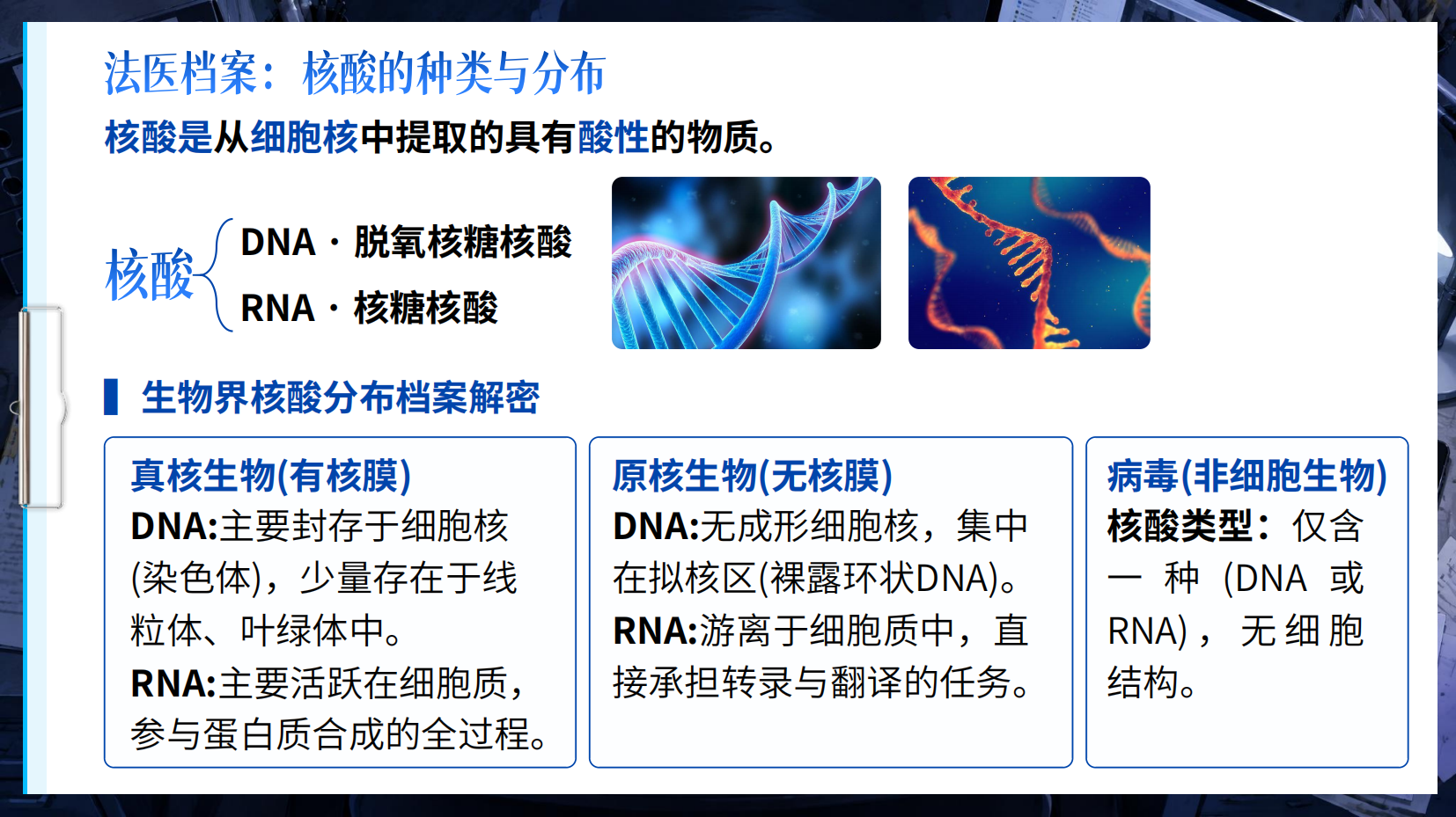 预览图 6