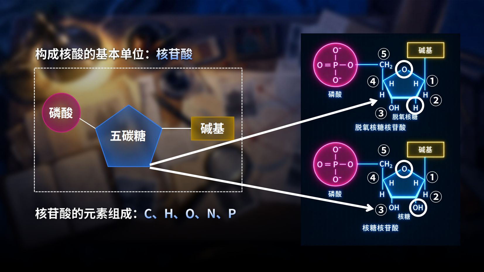 预览图 8