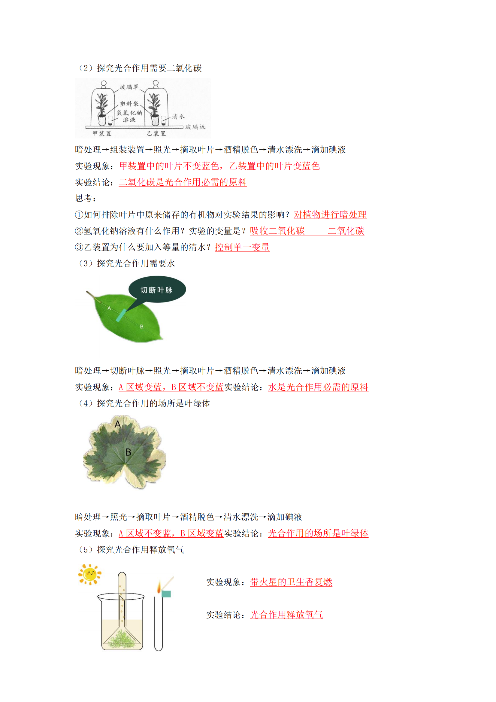 预览图 2