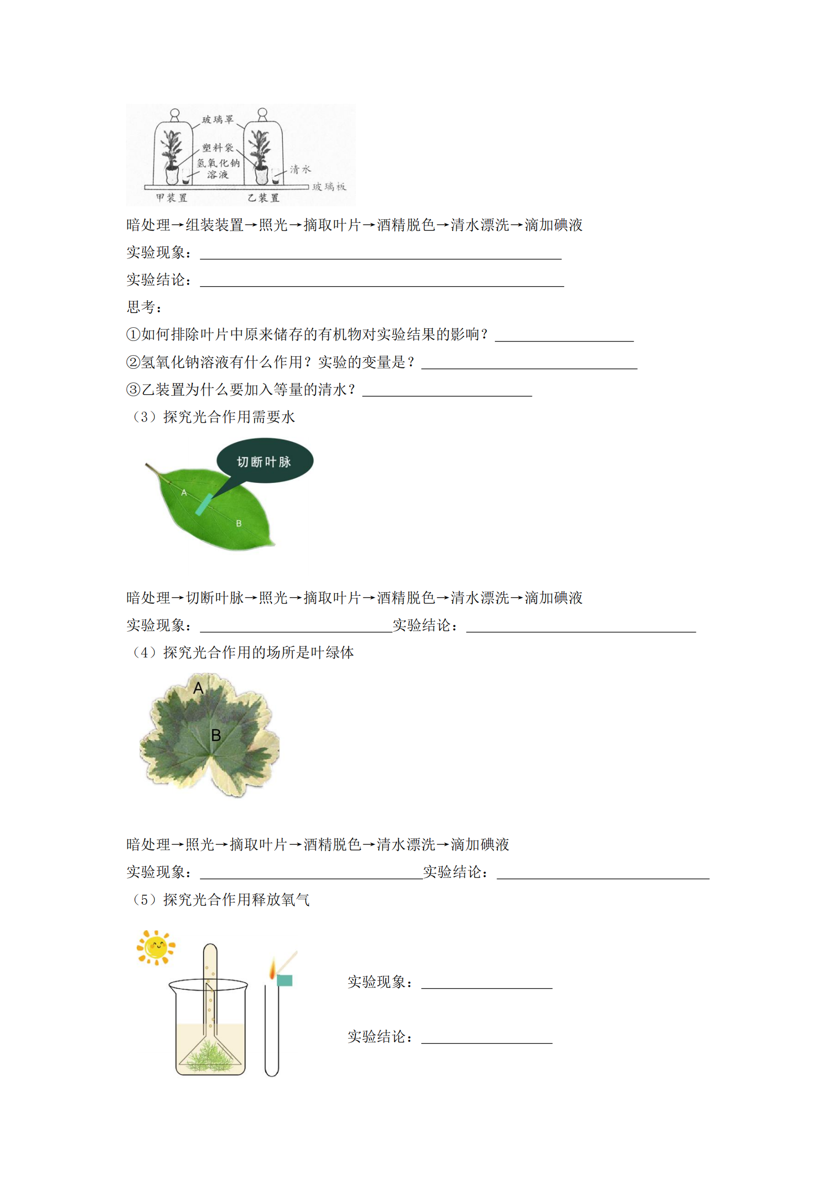 预览图 2