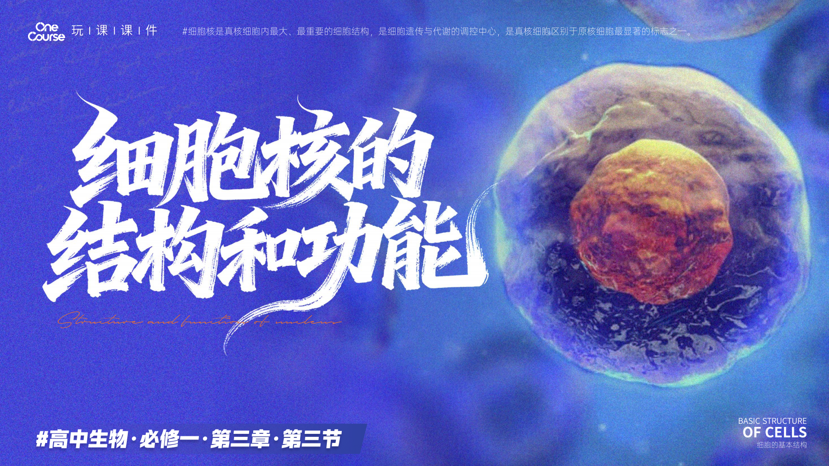 预览图 1