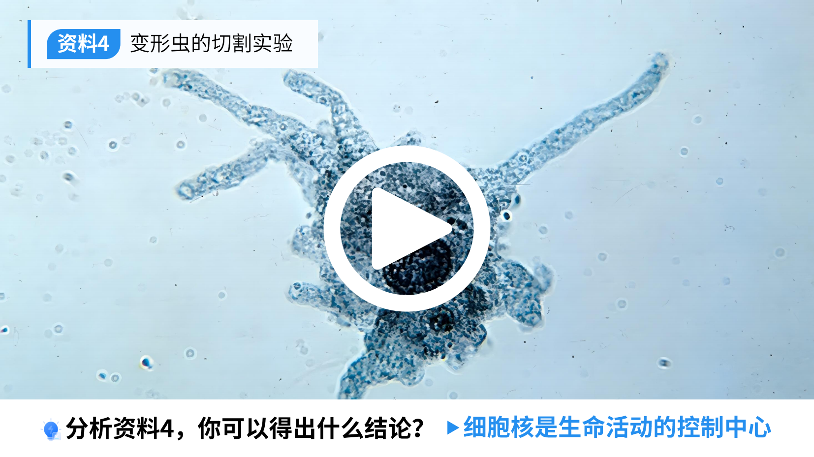预览图 10