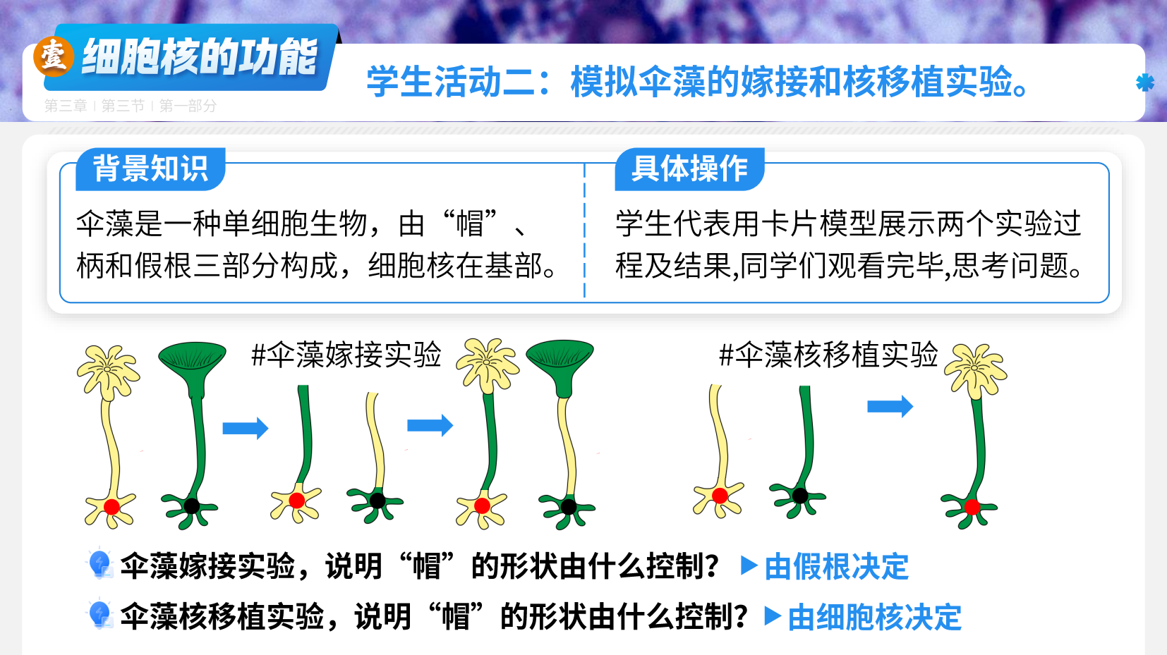 预览图 11