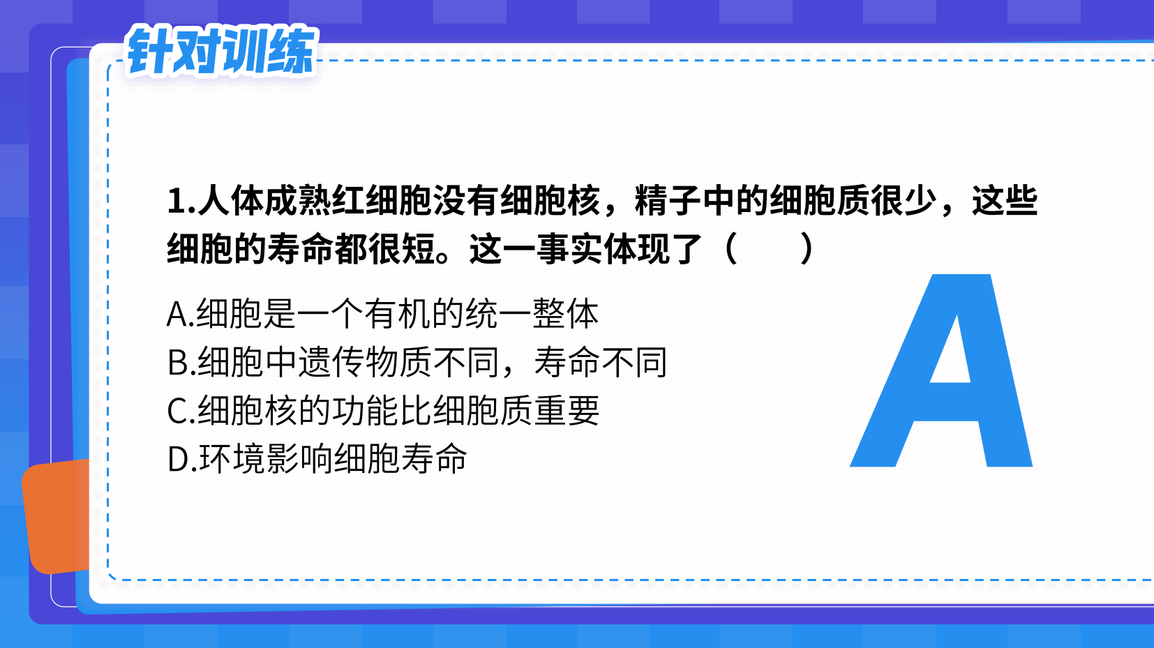 预览图 13