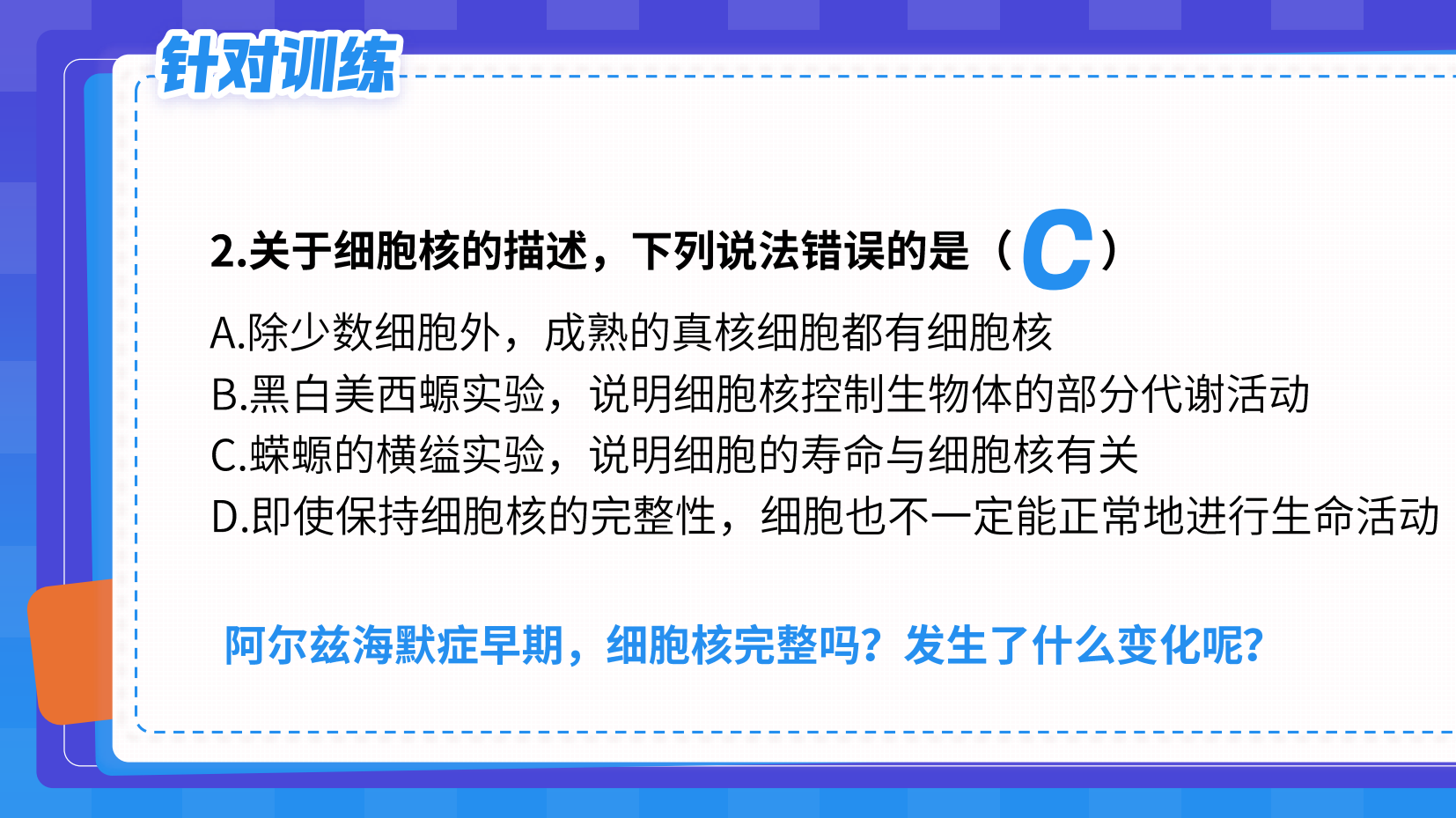 预览图 14