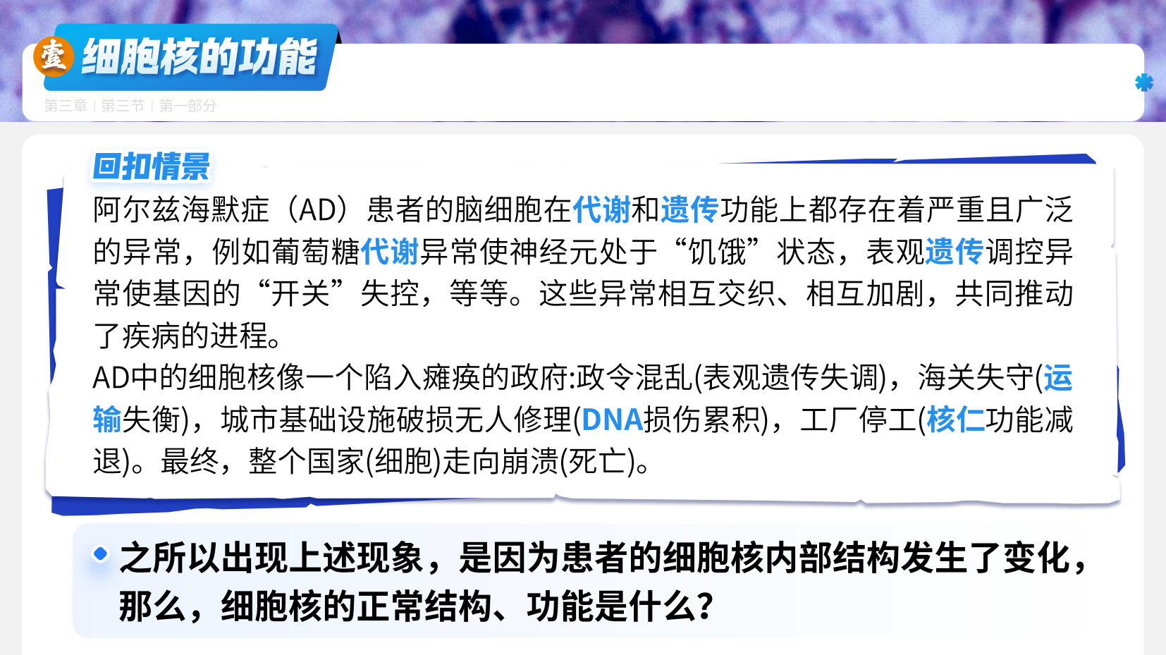 预览图 15