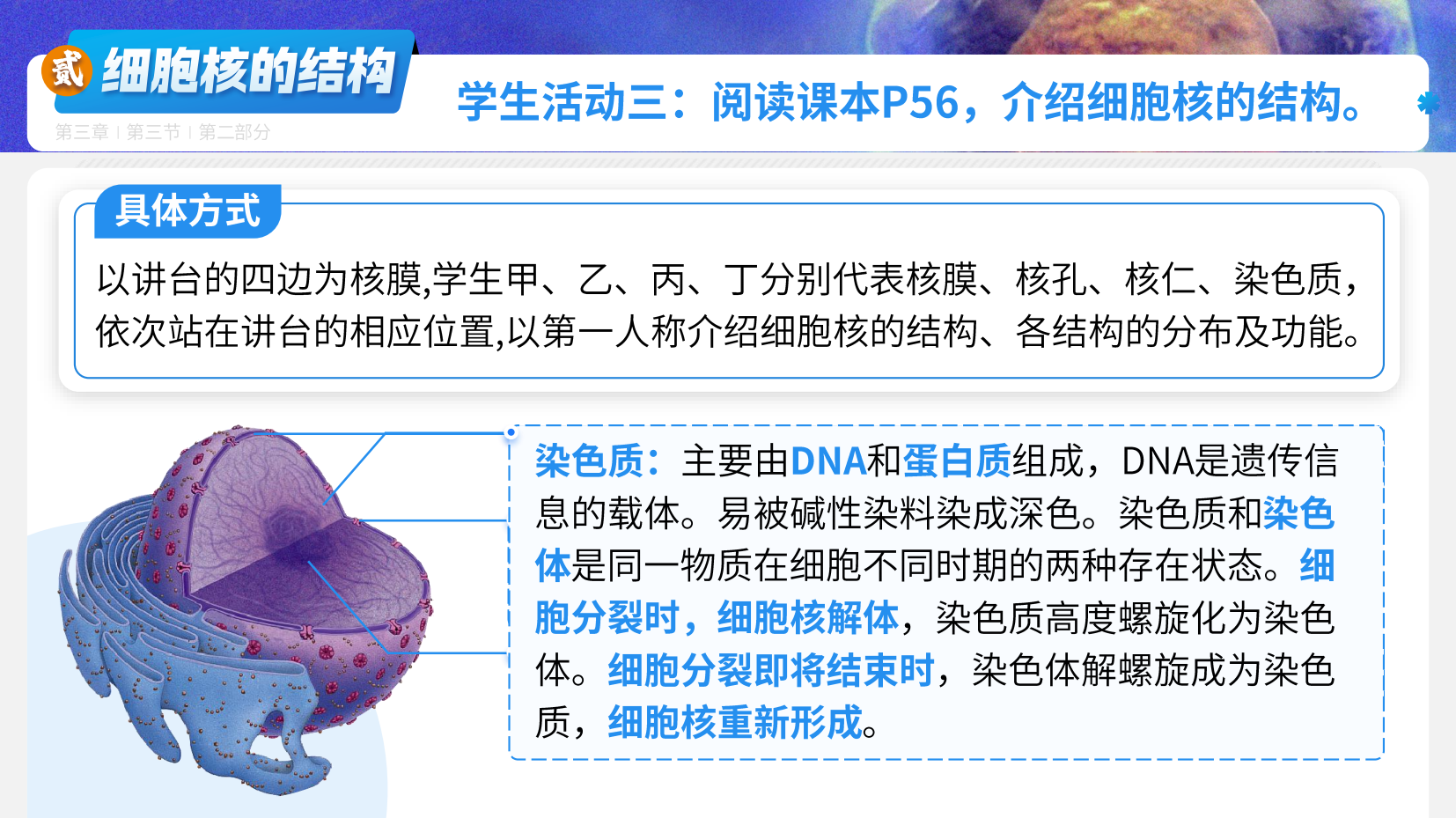预览图 16
