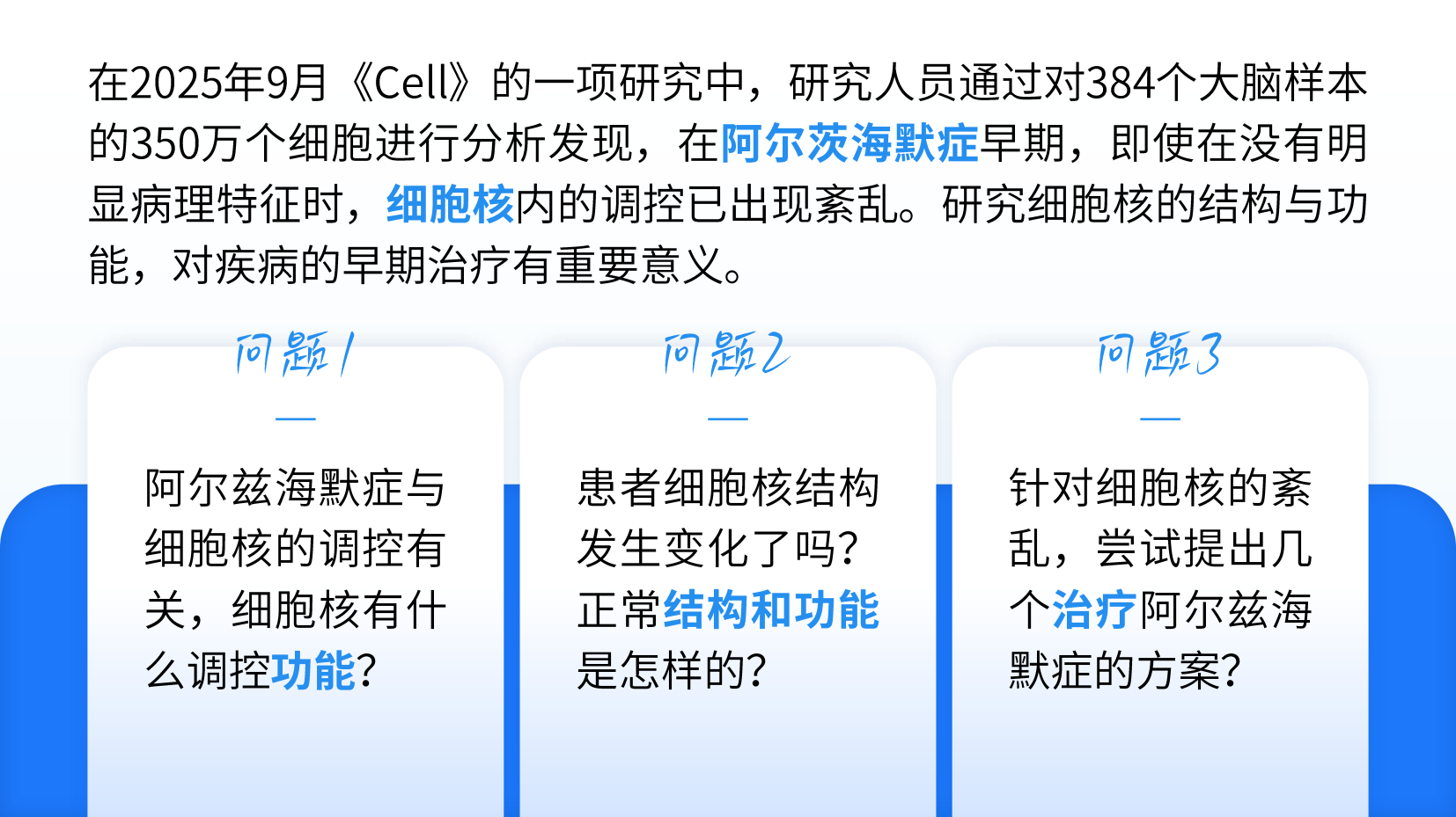 预览图 4