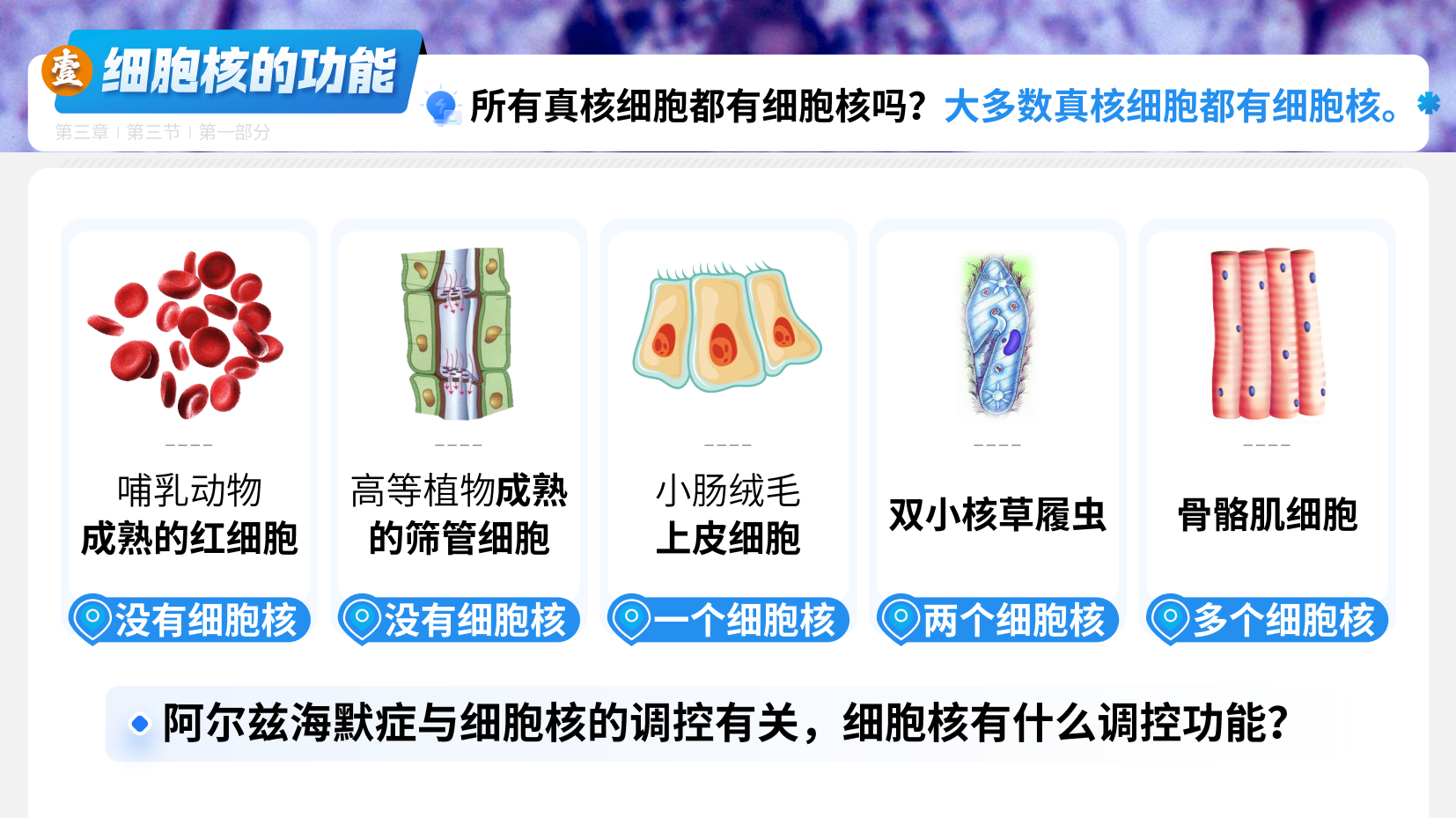 预览图 5