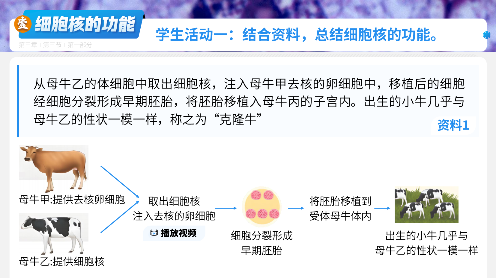 预览图 6