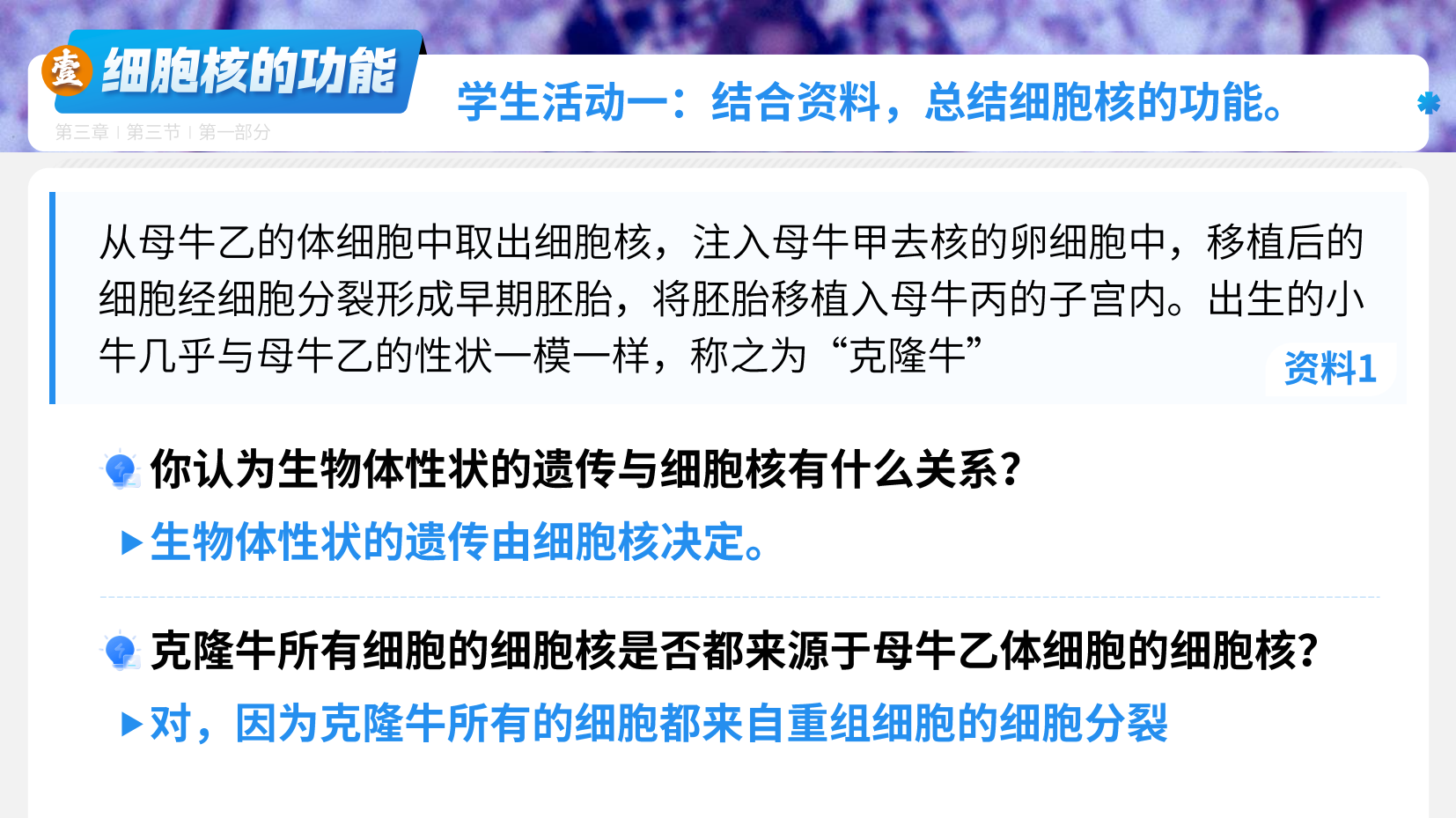 预览图 7