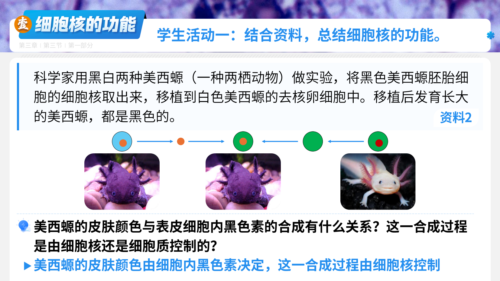 预览图 8