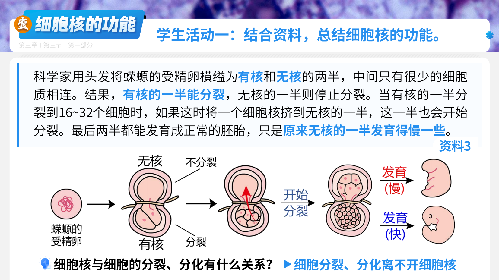 预览图 9