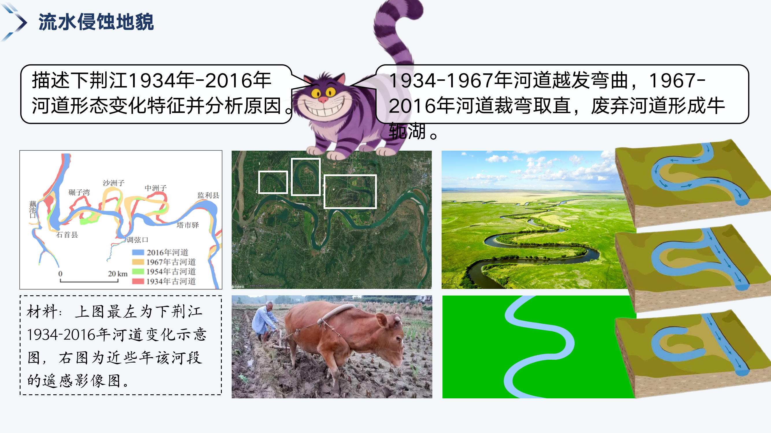预览图 15