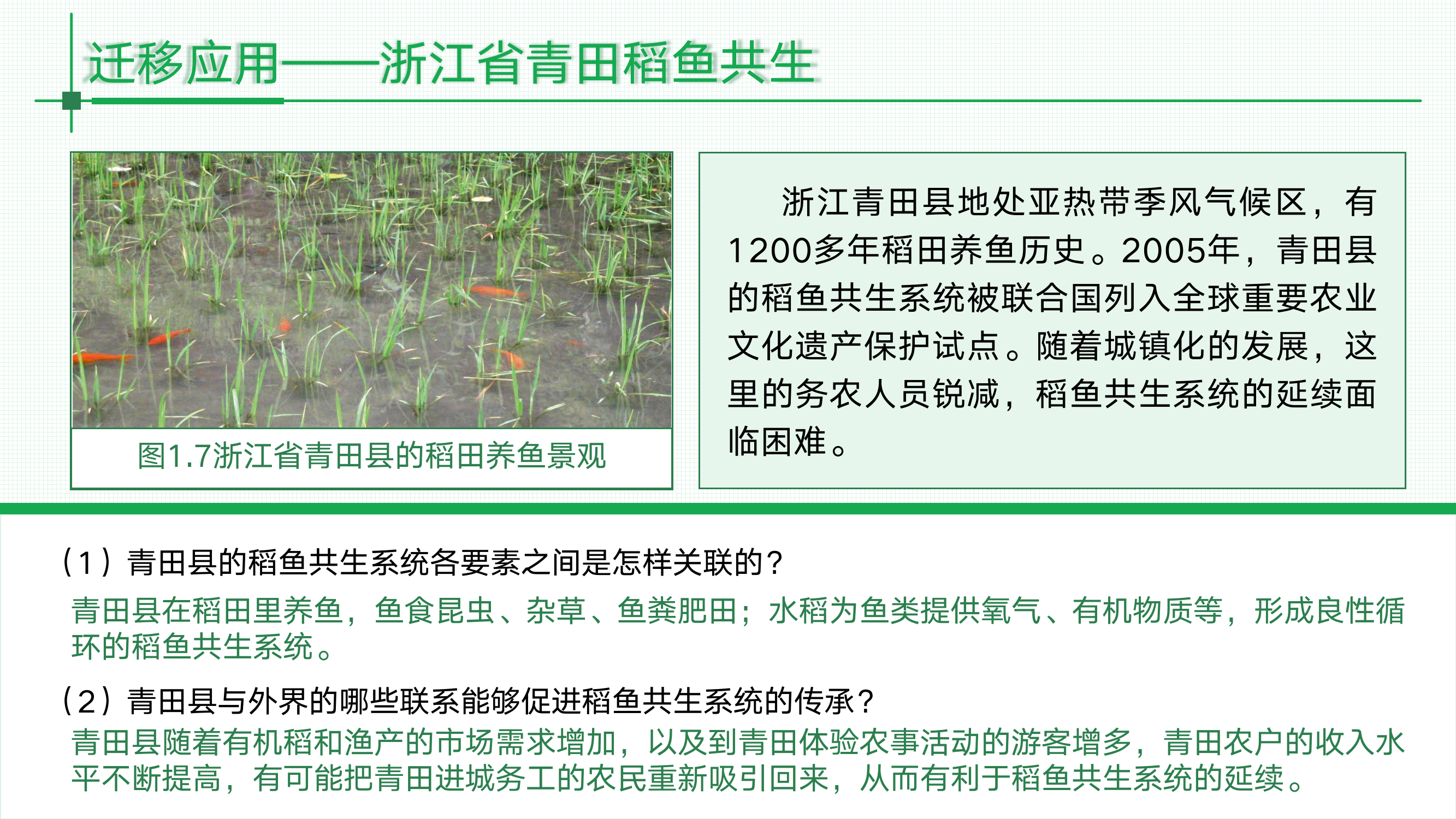 预览图 15