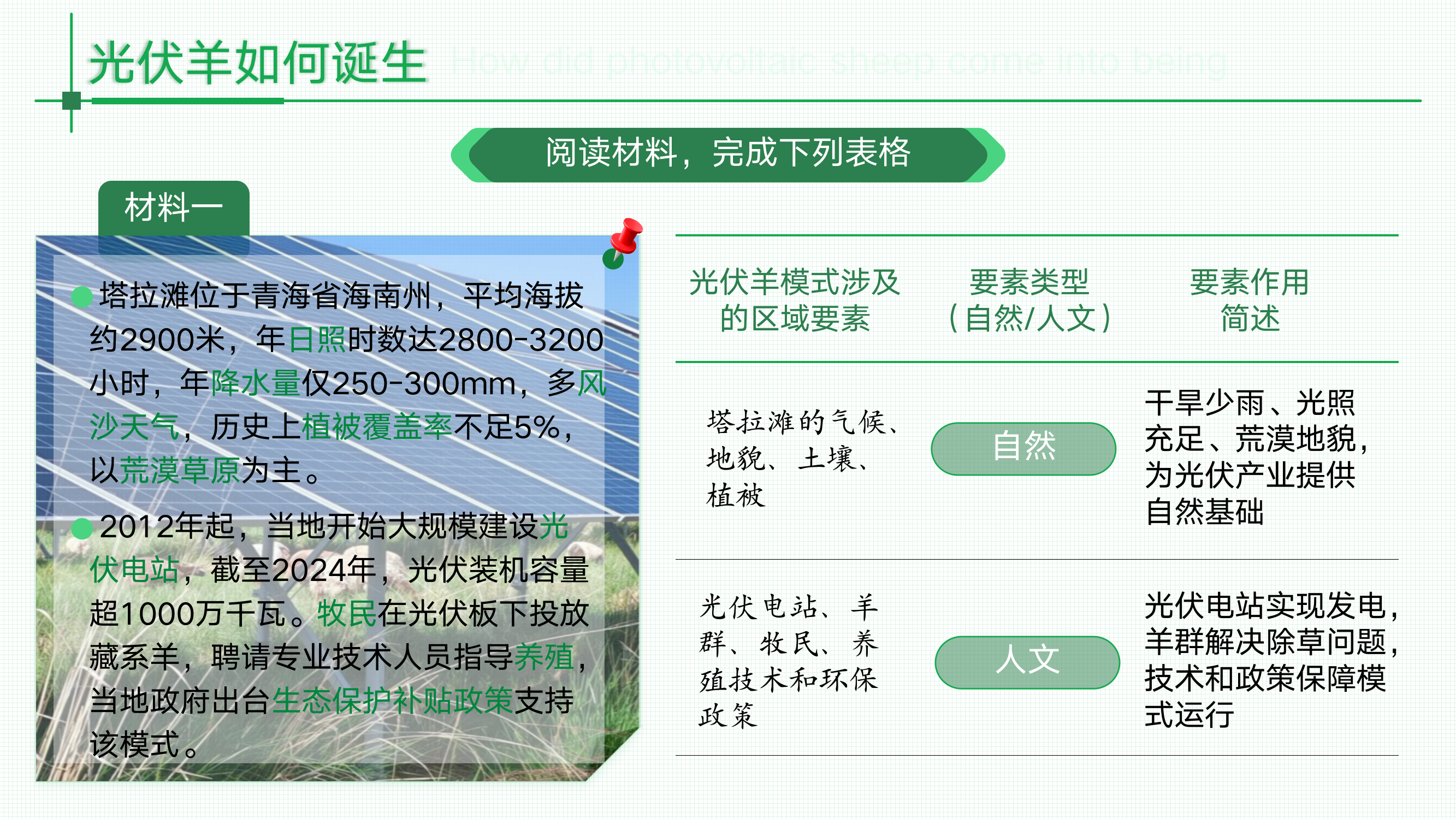 预览图 4
