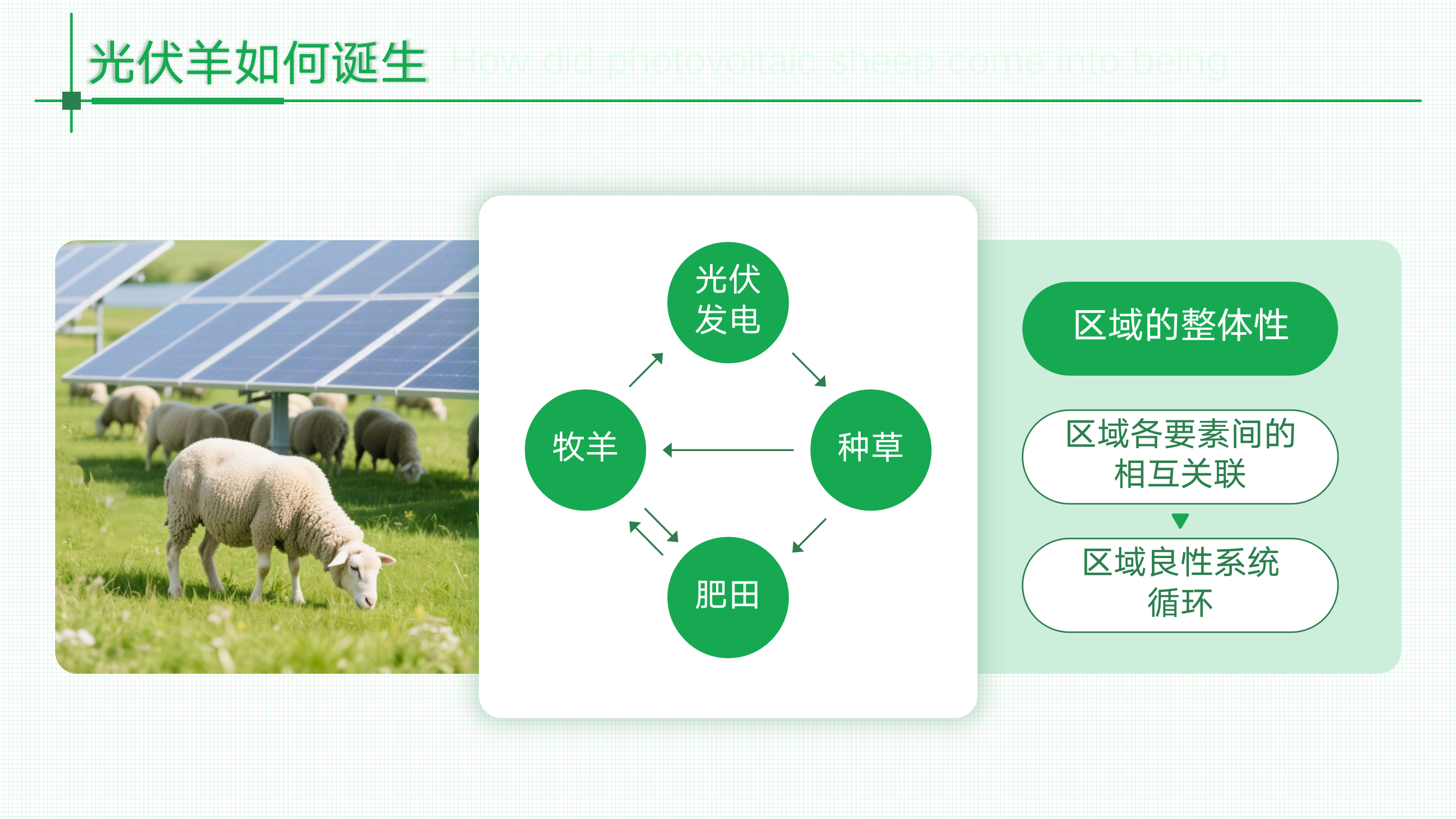 预览图 7